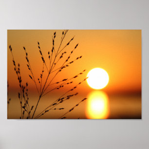 Póster Sunset