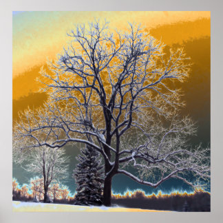 Póster Sunset