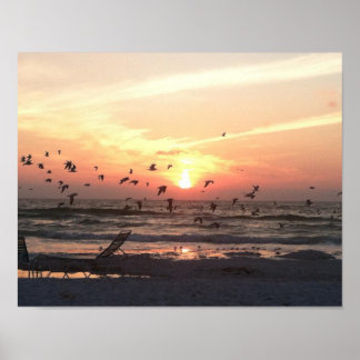Póster Sunset and Seagulls on the Water Picture