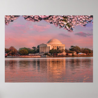 Póster Sunset at Jeferson Memorial with Cherry Blossoms
