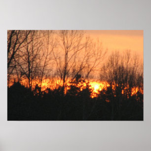 Póster Sunset behind trees