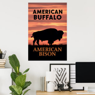 Póster Sunset Bison Silhouette