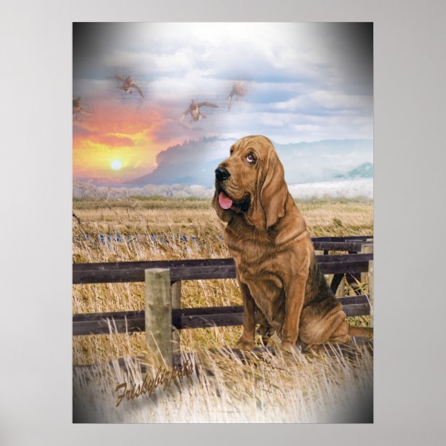 Póster Sunset bloodhound (Frente)