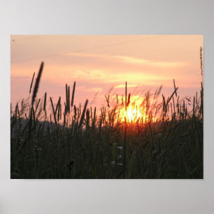 Póster Sunset - campo tru