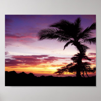 Póster Sunset de Hawái