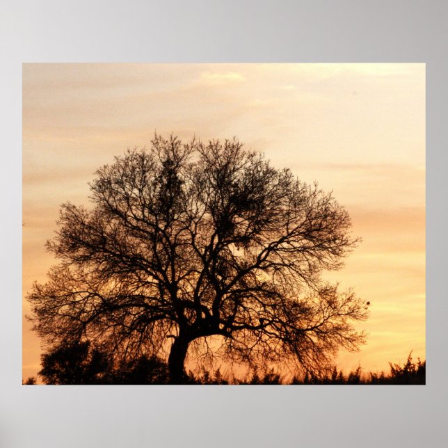 Póster Sunset en Texas Central (Frente)