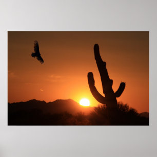 Póster Sunset Flight