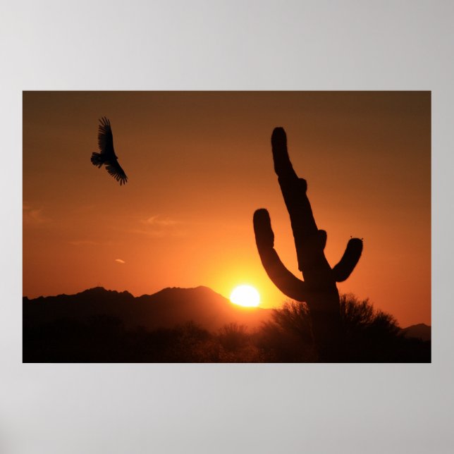 Póster Sunset Flight (Frente)