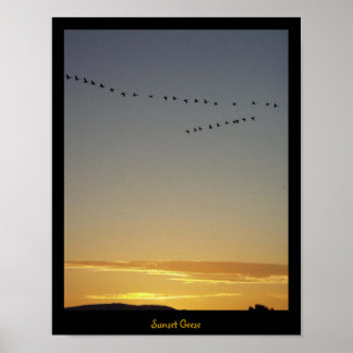 Póster Sunset Geese