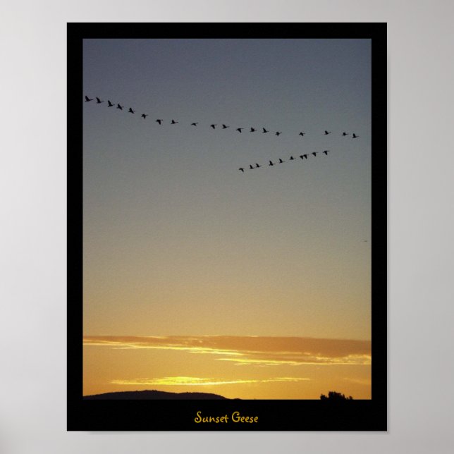 Póster Sunset Geese (Frente)