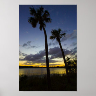 Póster Sunset, George Lestrange Preserve, Fort Pierce, FL
