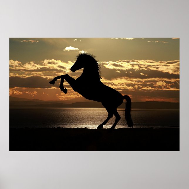 Póster sunset horse poster (Frente)