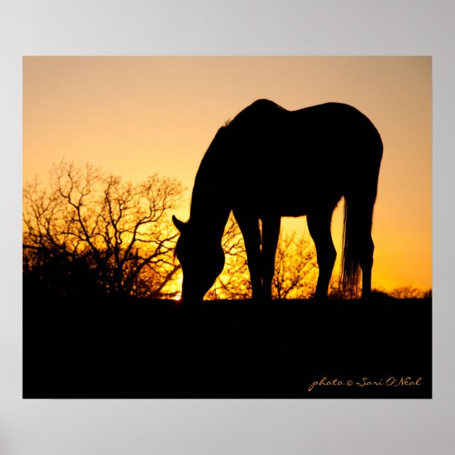 Póster Sunset Horse Silhouette (Frente)