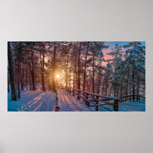 Póster Sunset in snowy pine forest with sun ray