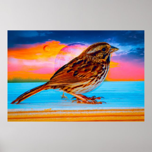 Póster Sunset Melody (Frente)