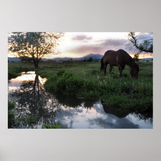 Póster Sunset natural