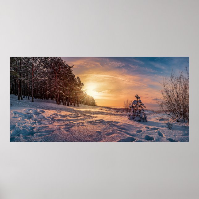 Póster Sunset over snowy winter sea coast (Frente)