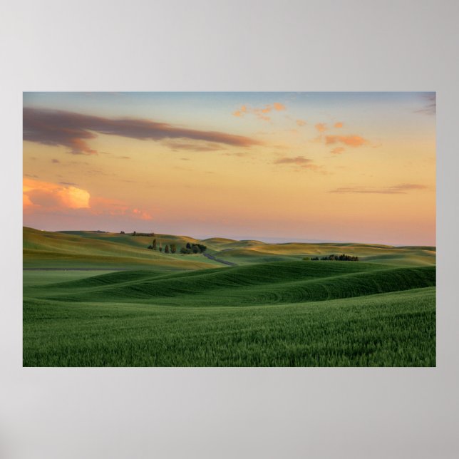 Póster Sunset over Wheat Fields | Washington State (Frente)