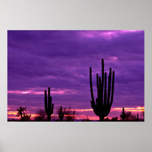 Póster Sunset, Scottsdale, Arizona