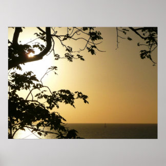 Póster Sunset Through Trees II Tropical Photography