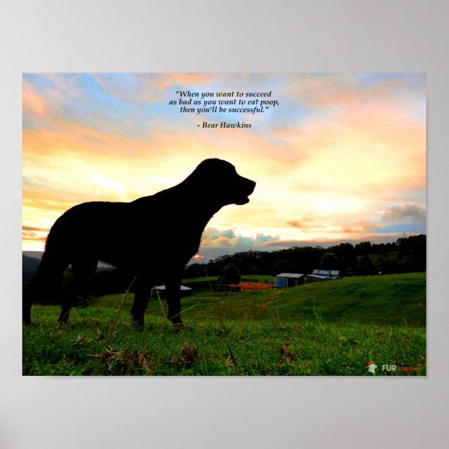 Póster Sunset y Poop (Frente)