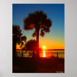 Póster Sunsets y Palmeras
