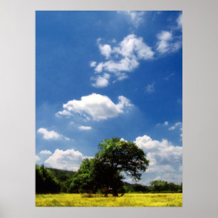 Póster Sunshine
