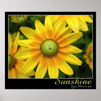 Póster Sunshine