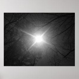 Póster Sunshine - Noir,