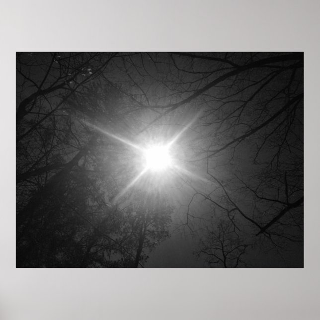 Póster Sunshine - Noir, (Frente)