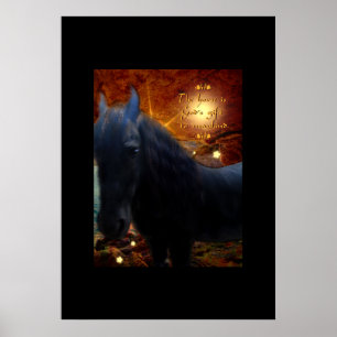 Póster Sunshine - Poster