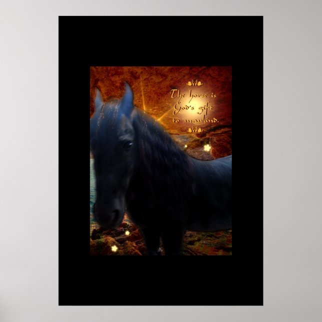 Póster Sunshine - Poster (Frente)