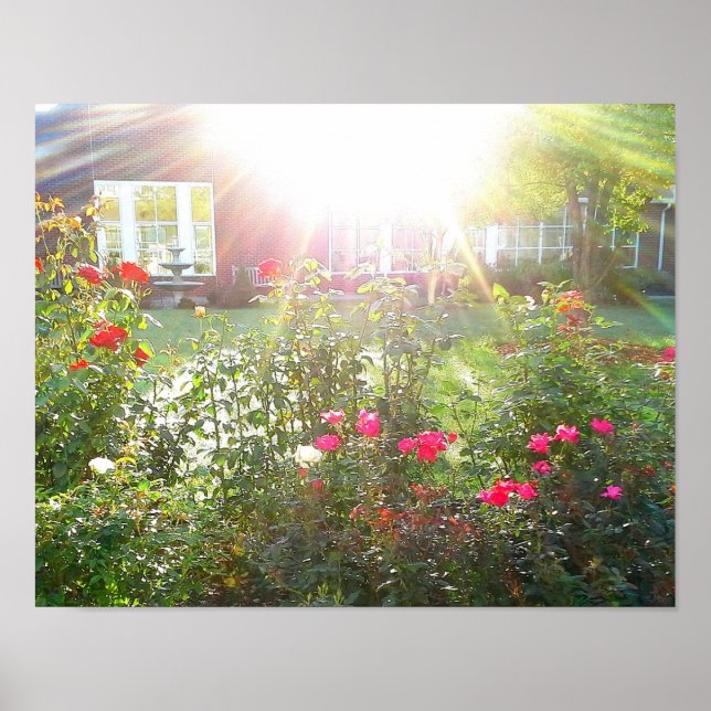 Póster SUNSHINE Y poster ROSAS (Frente)