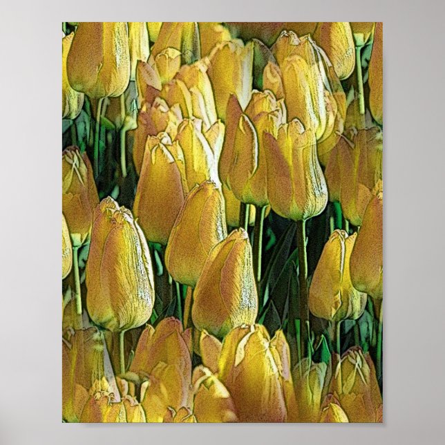 Póster Sunshine Yellow Tulips (Frente)