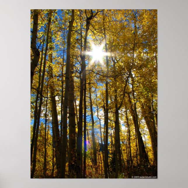 Póster Sunstar (Frente)