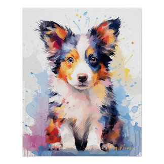 Póster Super Cute Border Collie Dog Puppy 002 - Xeno Luci