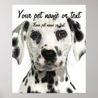 Póster Super Cute, Puppy Dalmatian Dog