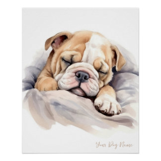 Póster Super lindo ángel durmiendo Bulldog de cachorro 00