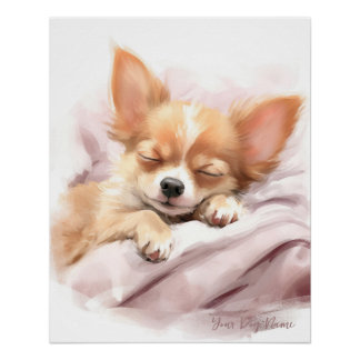 Póster Super lindo ángel durmiendo cachorro Chihuahua Per