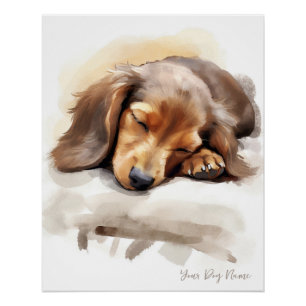 Póster Super lindo ángel durmiendo perrito Dachshund Dog 