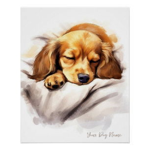 Póster Super lindo ángel durmiendo perrito Dachshund Perr