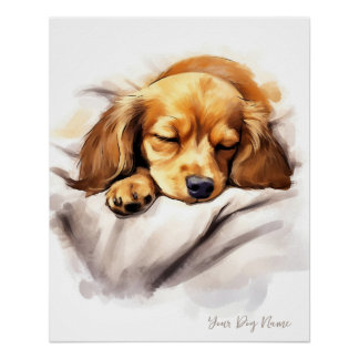 Póster Super lindo ángel durmiendo perrito Dachshund Perr