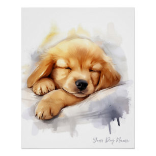 Póster Super lindo ángel durmiendo perrito Golden Retriev