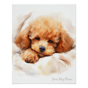 Póster Super lindo ángel durmiendo perrito Poodle Dog 003