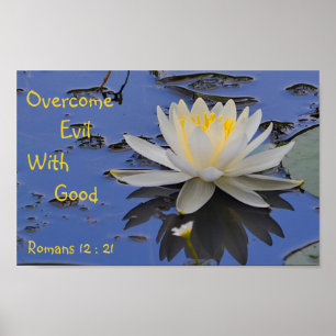 Póster Superar al mal con el buen Lily