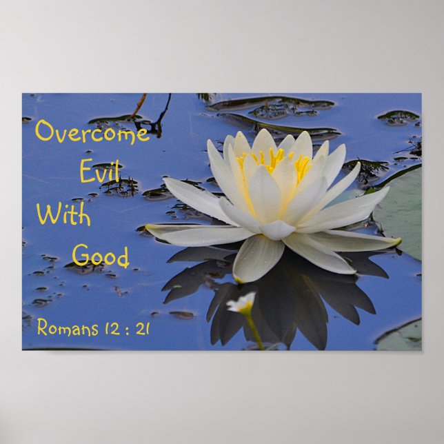 Póster Superar al mal con el buen Lily (Frente)