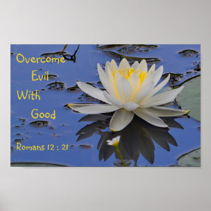Póster Superar al mal con el buen Lily