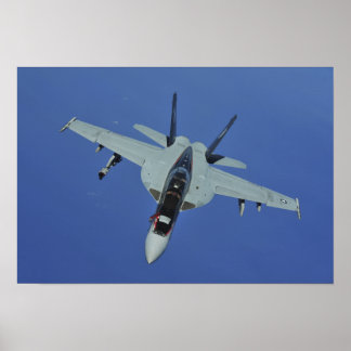 Póster Superavispón F/A-18F de la Marina de Estados Unido