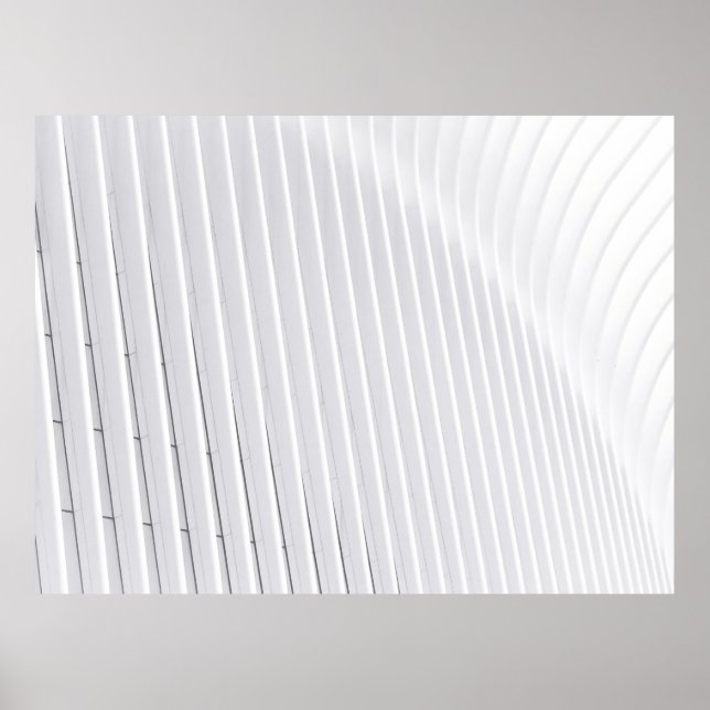 Póster Superficie blanca (Frente)