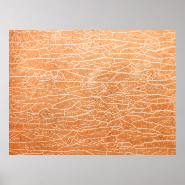 Póster Superficie marrón (Frente)